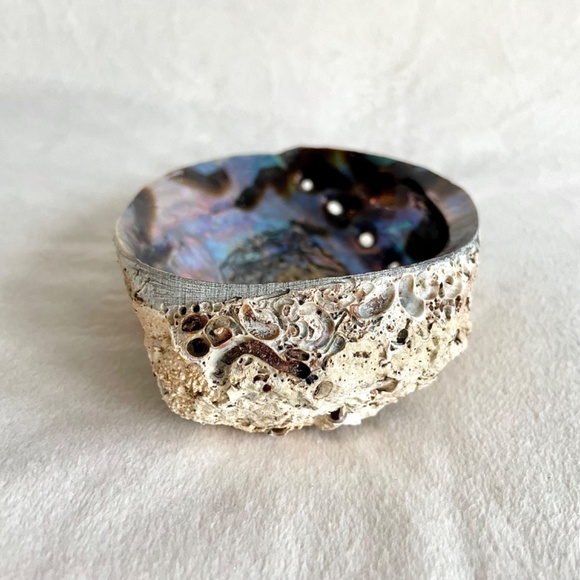 Large Abalone Shell Vessel - Picture 5 of 11